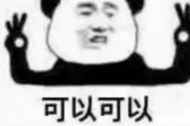 思明如何避免债务纠纷？专业追讨公司教您应对之策